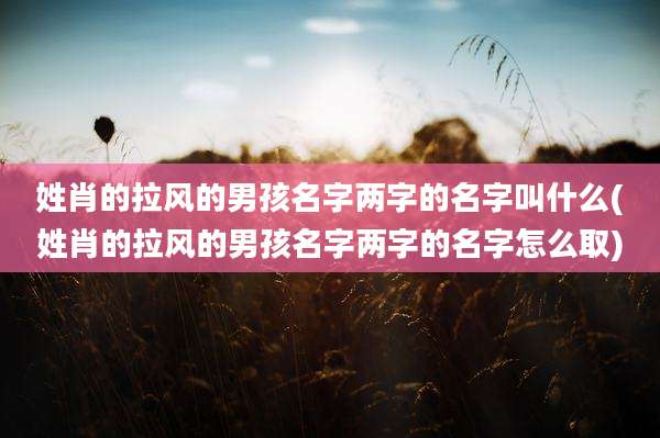 姓肖的拉风的男孩名字两字的名字叫什么(姓肖的拉风的男孩名字两字的名字怎么取)