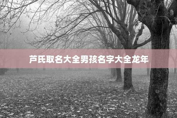 芦氏取名大全男孩名字大全龙年