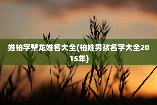 姓柏字辈龙姓名大全(柏姓男孩名字大全2015年)