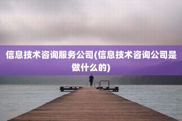 信息技术咨询服务公司(信息技术咨询公司是做什么的)