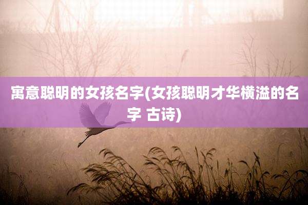 寓意聪明的女孩名字(女孩聪明才华横溢的名字 古诗)