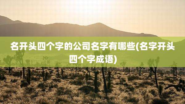 名开头四个字的公司名字有哪些(名字开头四个字成语)