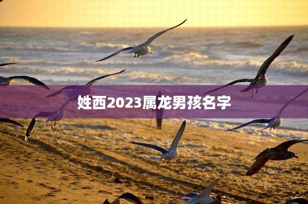 姓西2023属龙男孩名字