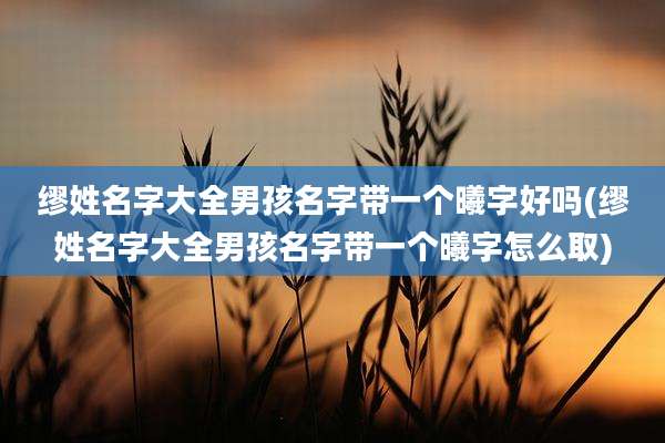 缪姓名字大全男孩名字带一个曦字好吗(缪姓名字大全男孩名字带一个曦字怎么取)