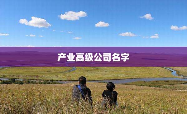产业高级公司名字