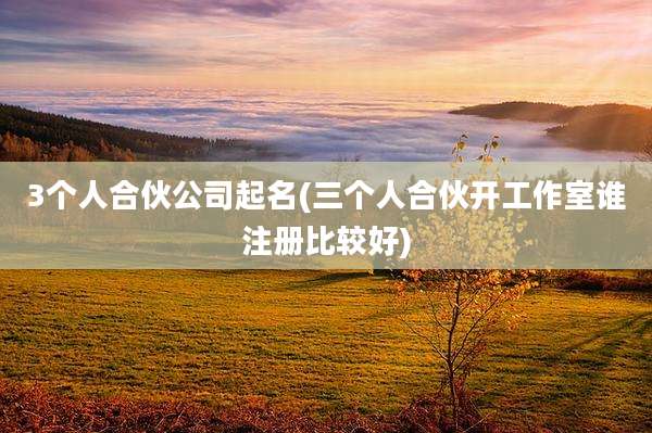 3个人合伙公司起名(三个人合伙开工作室谁注册比较好)