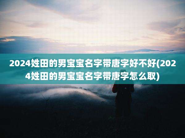 2024姓田的男宝宝名字带唐字好不好(2024姓田的男宝宝名字带唐字怎么取)