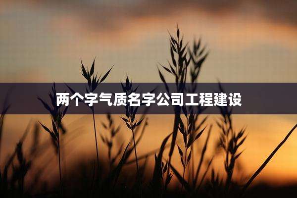 两个字气质名字公司工程建设