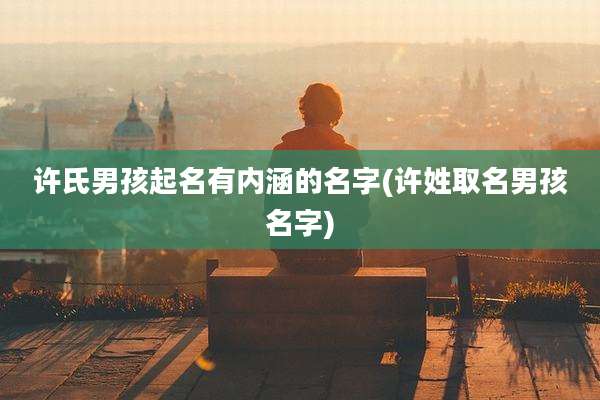 许氏男孩起名有内涵的名字(许姓取名男孩名字)