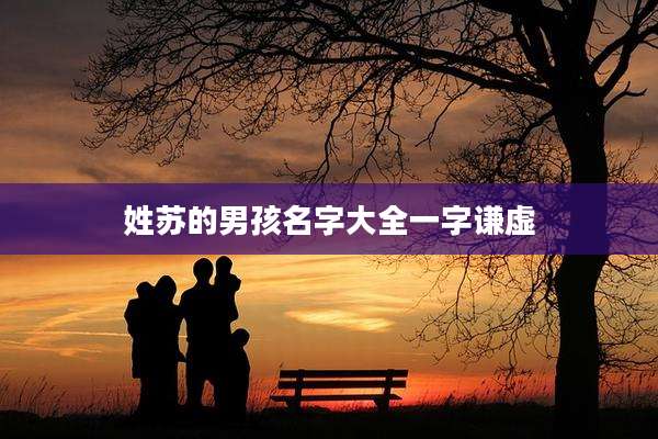 姓苏的男孩名字大全一字谦虚