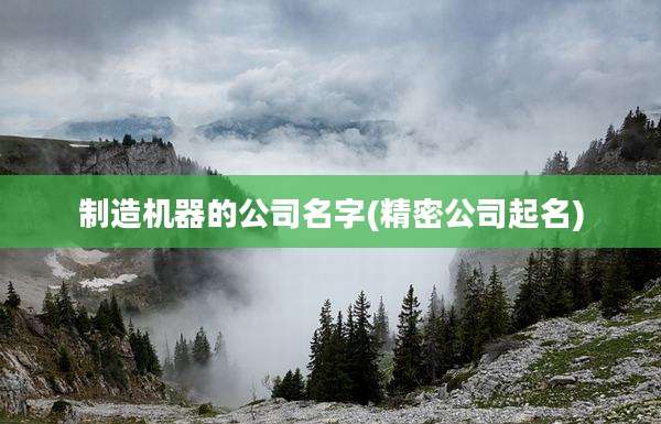 制造机器的公司名字(精密公司起名)