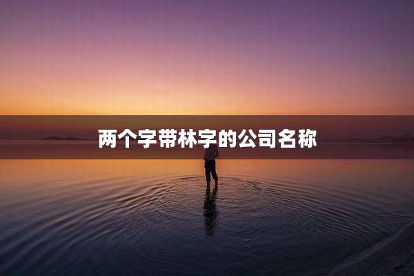 两个字带林字的公司名称