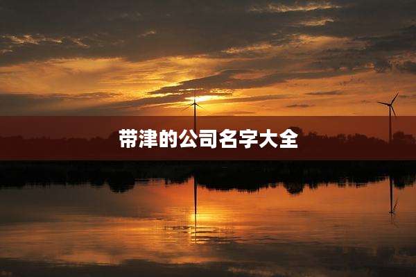 带津的公司名字大全