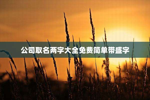 公司取名两字大全免费简单带盛字