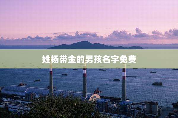 姓杨带金的男孩名字免费