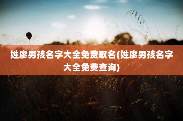 姓廖男孩名字大全免费取名(姓廖男孩名字大全免费查询)