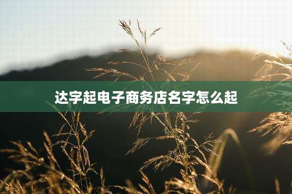 达字起电子商务店名字怎么起