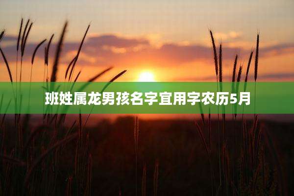 班姓属龙男孩名字宜用字农历5月