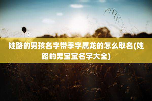姓路的男孩名字带季字属龙的怎么取名(姓路的男宝宝名字大全)