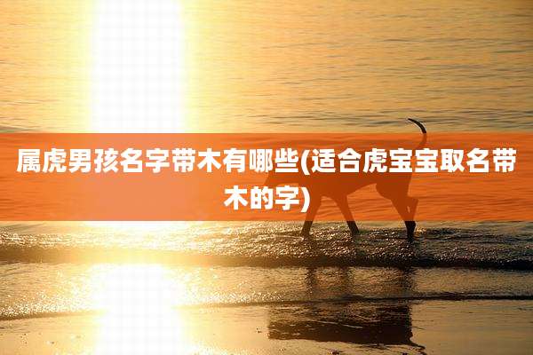 属虎男孩名字带木有哪些(适合虎宝宝取名带木的字)