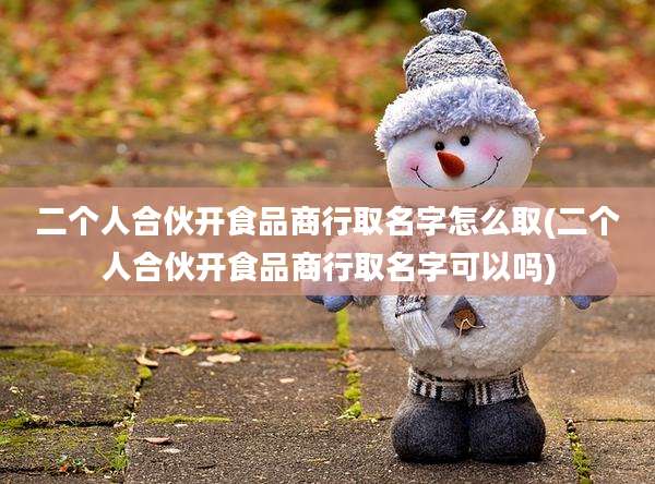 二个人合伙开食品商行取名字怎么取(二个人合伙开食品商行取名字可以吗)