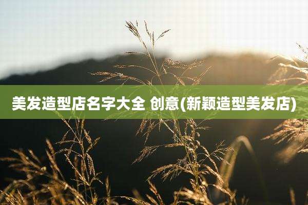 美发造型店名字大全 创意(新颖造型美发店)