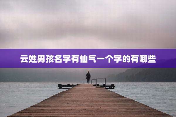 云姓男孩名字有仙气一个字的有哪些
