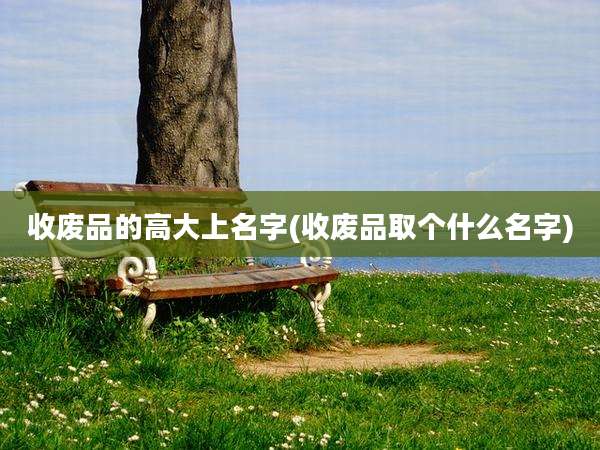 收废品的高大上名字(收废品取个什么名字)