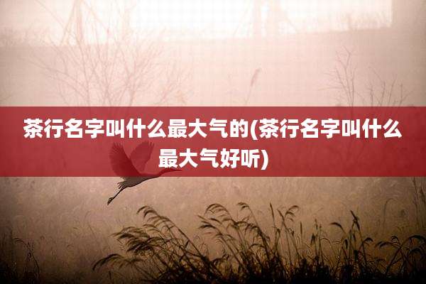 茶行名字叫什么最大气的(茶行名字叫什么最大气好听)