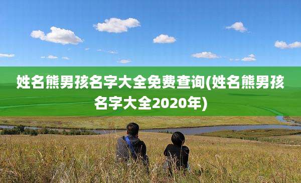 姓名熊男孩名字大全免费查询(姓名熊男孩名字大全2020年)