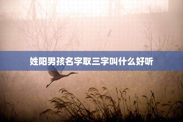 姓阳男孩名字取三字叫什么好听