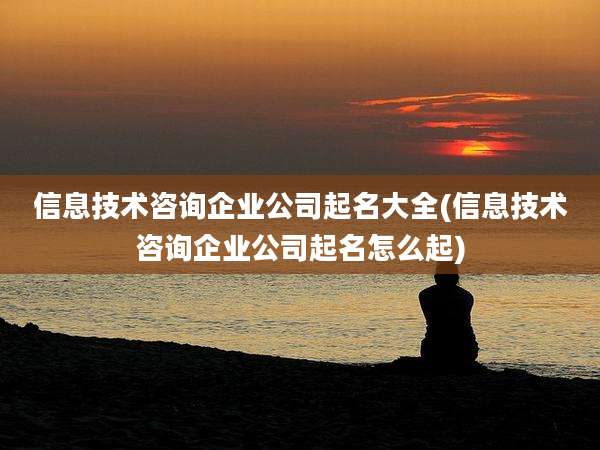 信息技术咨询企业公司起名大全(信息技术咨询企业公司起名怎么起)