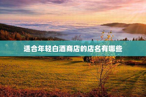 适合年轻白酒商店的店名有哪些