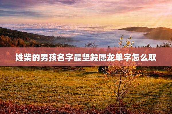 姓柴的男孩名字最坚毅属龙单字怎么取