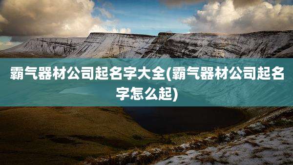 霸气器材公司起名字大全(霸气器材公司起名字怎么起)