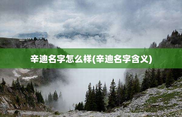 辛迪名字怎么样(辛迪名字含义)