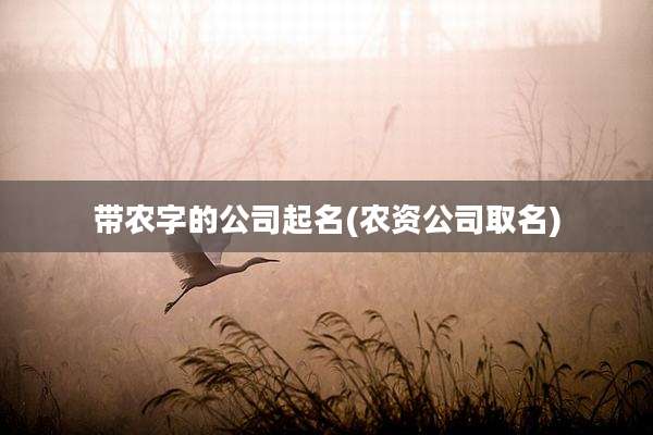 带农字的公司起名(农资公司取名)
