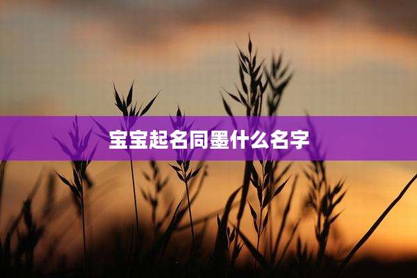 宝宝起名同墨什么名字