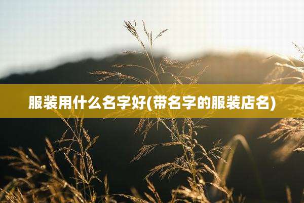 服装用什么名字好(带名字的服装店名)