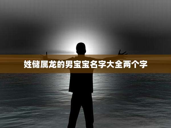 姓储属龙的男宝宝名字大全两个字