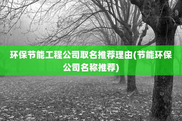 环保节能工程公司取名推荐理由(节能环保公司名称推荐)