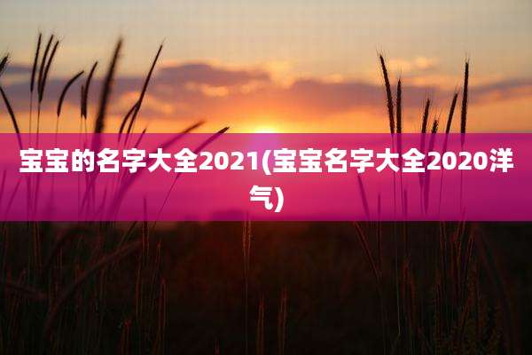 宝宝的名字大全2021(宝宝名字大全2020洋气)