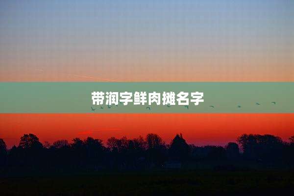 带润字鲜肉摊名字