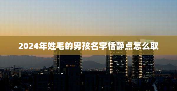 2024年姓毛的男孩名字恬静点怎么取