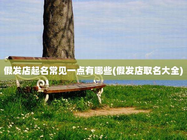 假发店起名常见一点有哪些(假发店取名大全)