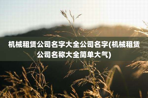 机械租赁公司名字大全公司名字(机械租赁公司名称大全简单大气)