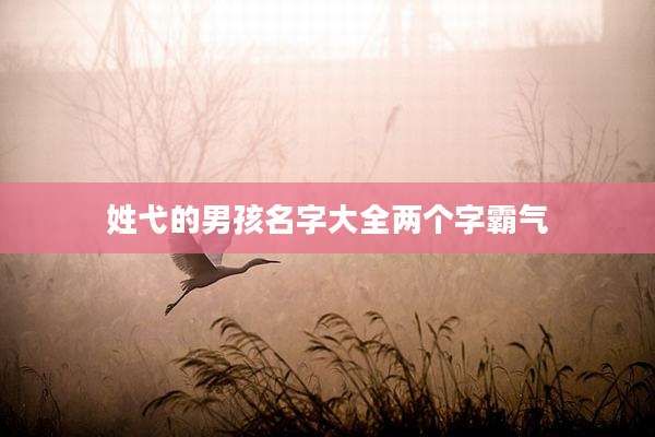 姓弋的男孩名字大全两个字霸气