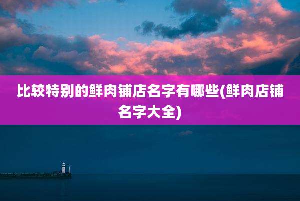 比较特别的鲜肉铺店名字有哪些(鲜肉店铺名字大全)