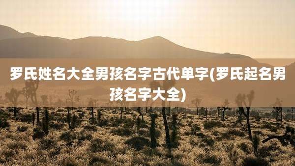 罗氏姓名大全男孩名字古代单字(罗氏起名男孩名字大全)