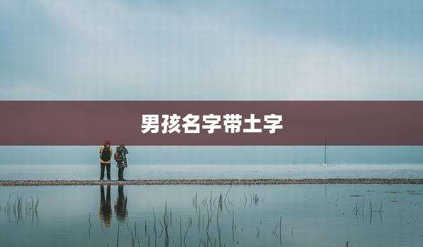 男孩名字带土字
